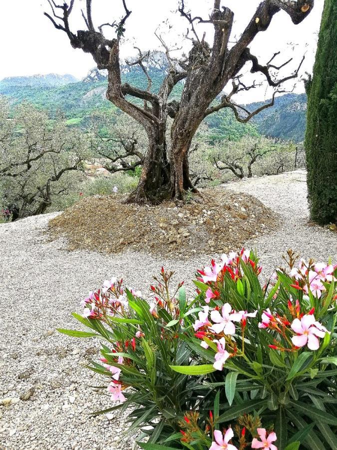 Le Mas Christine Bed & Breakfast Buis-les-Baronnies Exterior photo