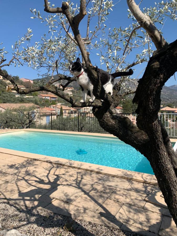 Le Mas Christine Bed & Breakfast Buis-les-Baronnies Exterior photo